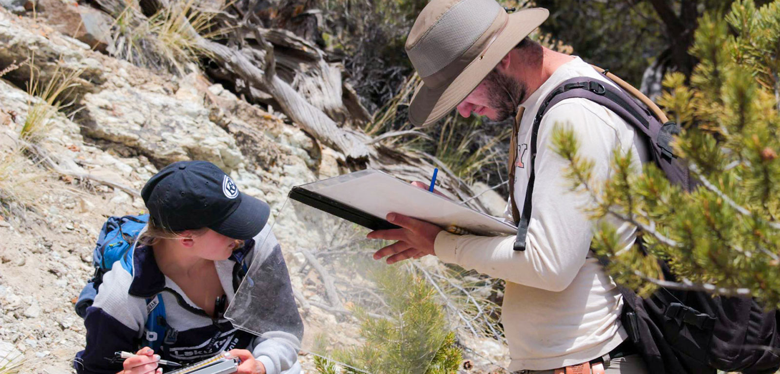University of British Columbia (UBC) - Vancouver campus Background Image