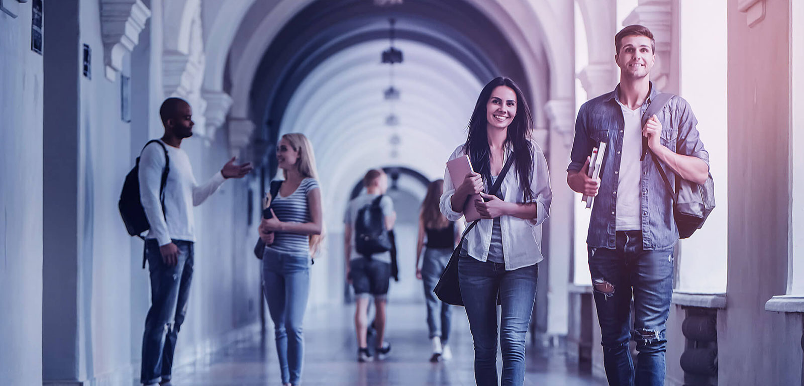 The University of Queensland - St Lucia campus Background Image