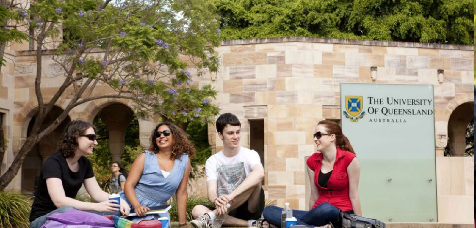 The University of Queensland - St Lucia campus Background Image