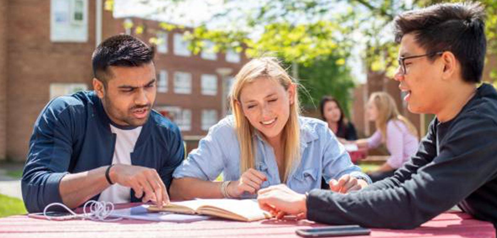 The University of Queensland - St Lucia campus Background Image