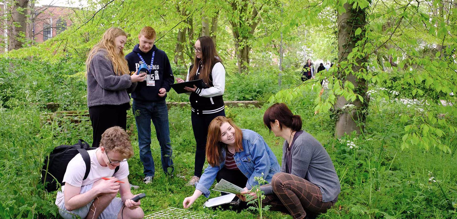 University of Newcastle - Callaghan campus Background Image